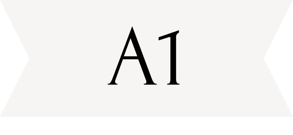 Niveau A1 Blog