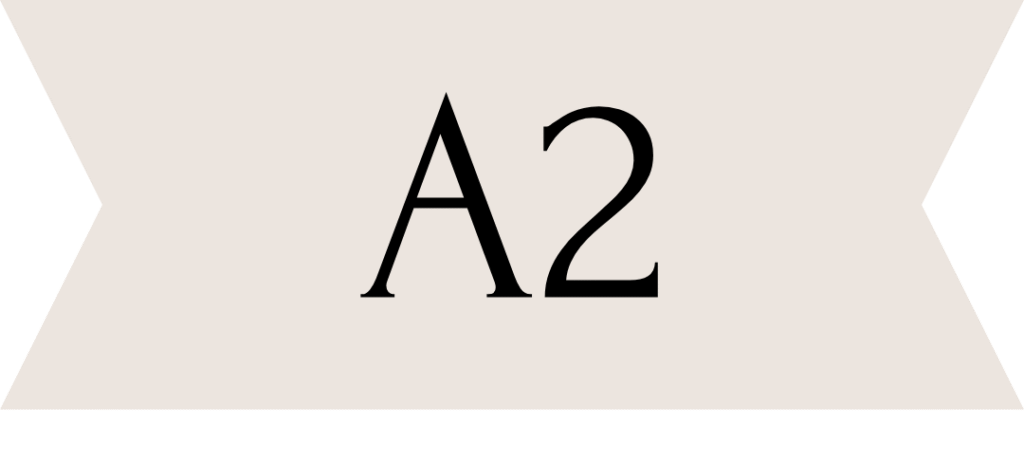 Niveau A2 Blog