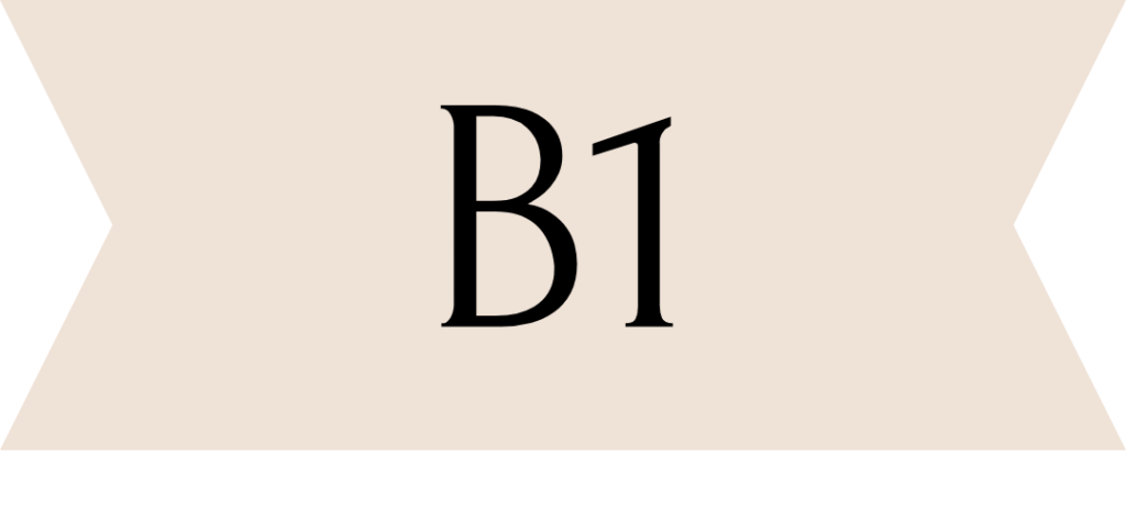 Niveau B1 Blog
