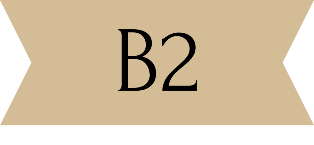 Niveau B2 Blog