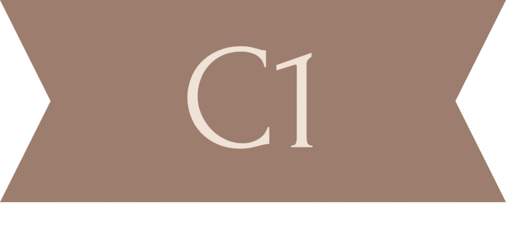Niveau C1 Blog